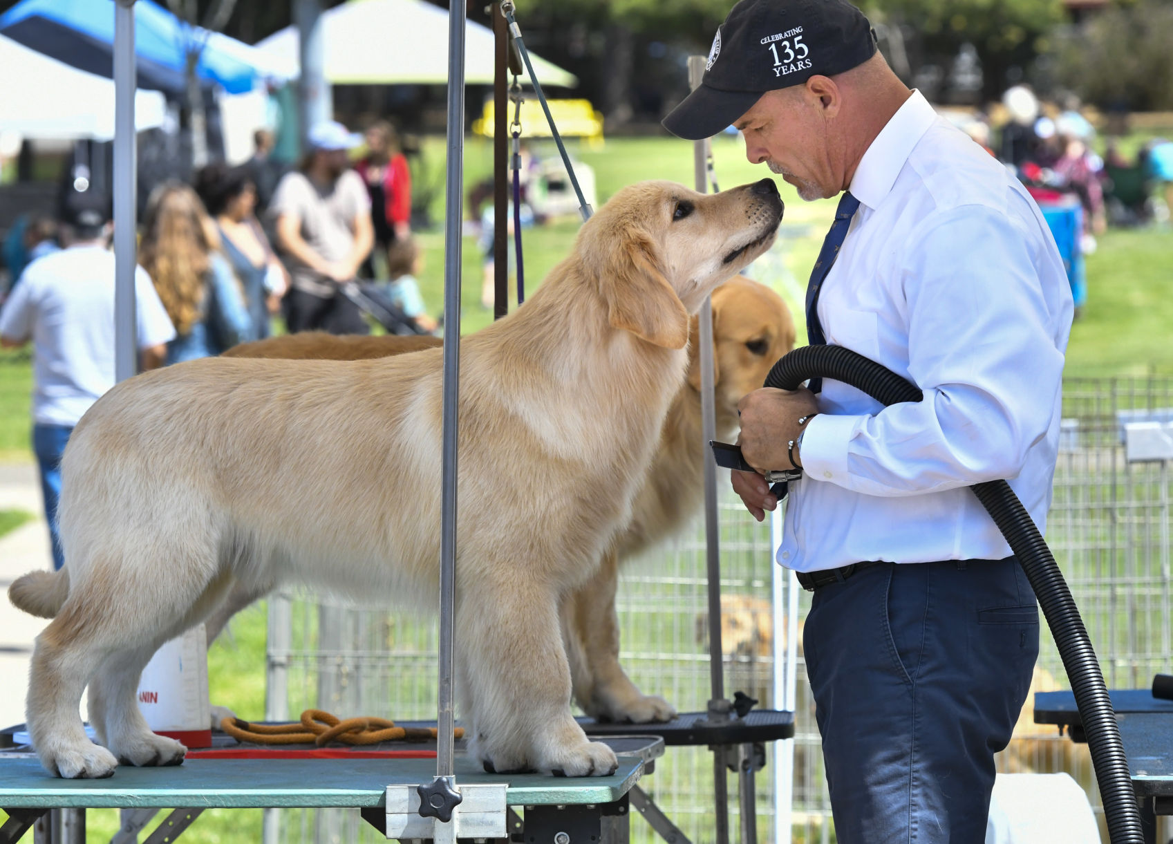 073121 Dog show 03.JPG